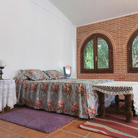 Habitacion,Piscina Y Jardin 阿祖奇卡黑纳雷斯 外观 照片