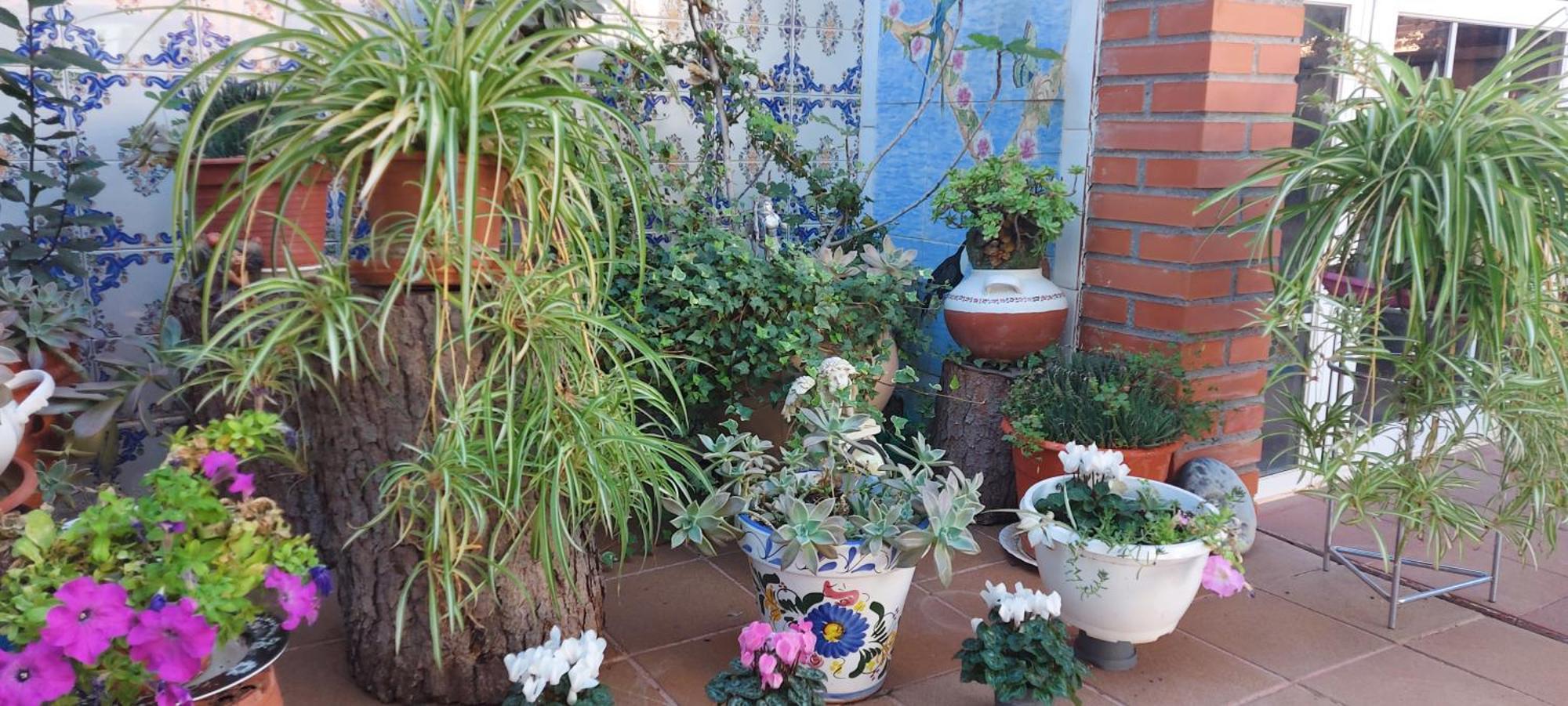Habitacion,Piscina Y Jardin 阿祖奇卡黑纳雷斯 外观 照片