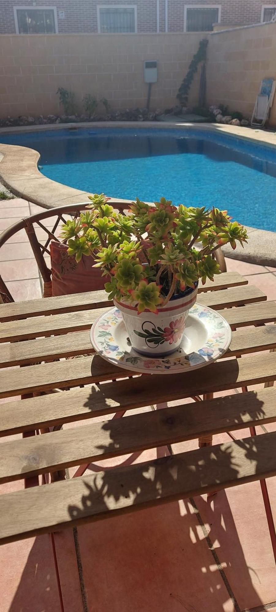 Habitacion,Piscina Y Jardin 阿祖奇卡黑纳雷斯 外观 照片